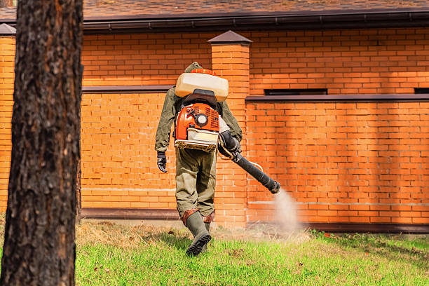 Trusted Fumigation Services service in Litchfield Park, AZ - Nex Pest Control